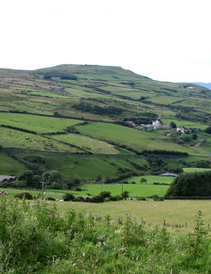 Irish Countryside